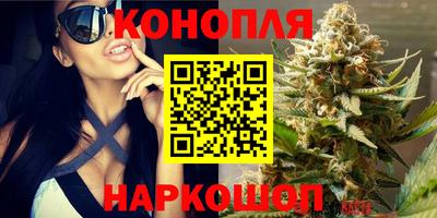 гашик Пенза