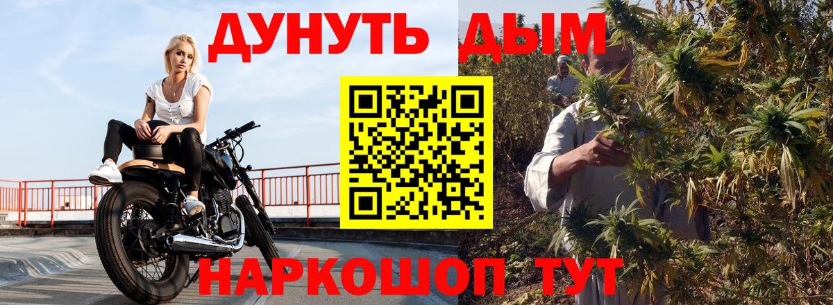 Конопля план  Конопля сатива  Тобольск  Вход с VPN 